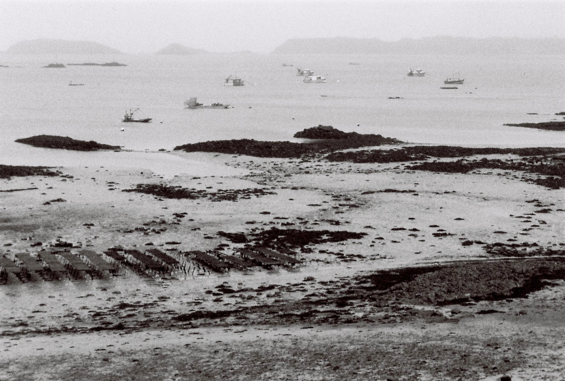 image perrine borges